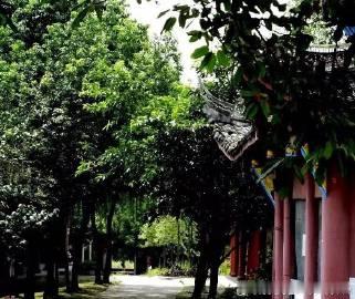 中医《河北省中医验方汇选》内科第一集。由卫生工作者协会编选：咽喉肿痛。...