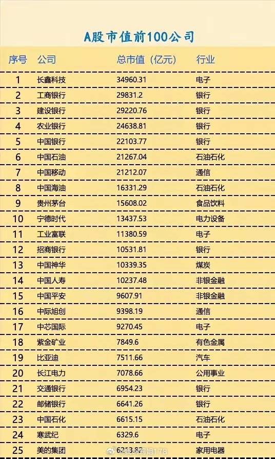 A股市值前100公司。 ​