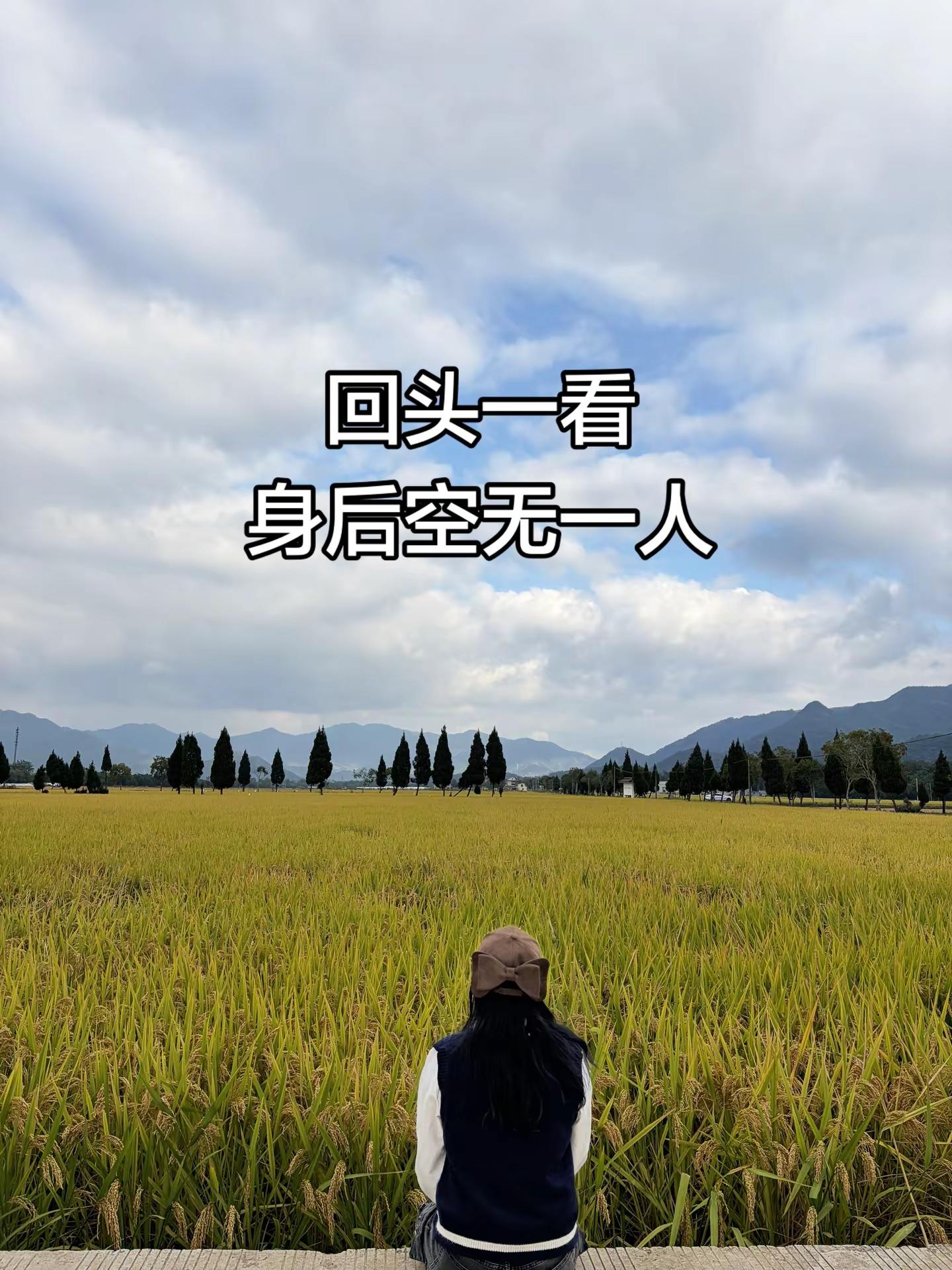 <p>情感共鸣 <!--{img:0}--></p><img src=...