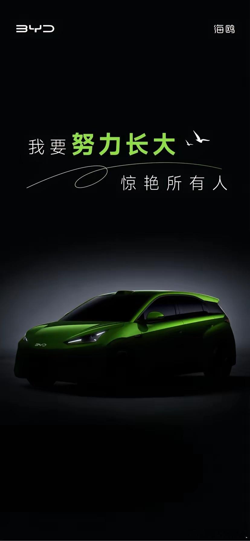 海鸥长大了，星愿们还有盼头吗？比亚迪海鸥先前吃了尺寸的亏，这次明显是想...