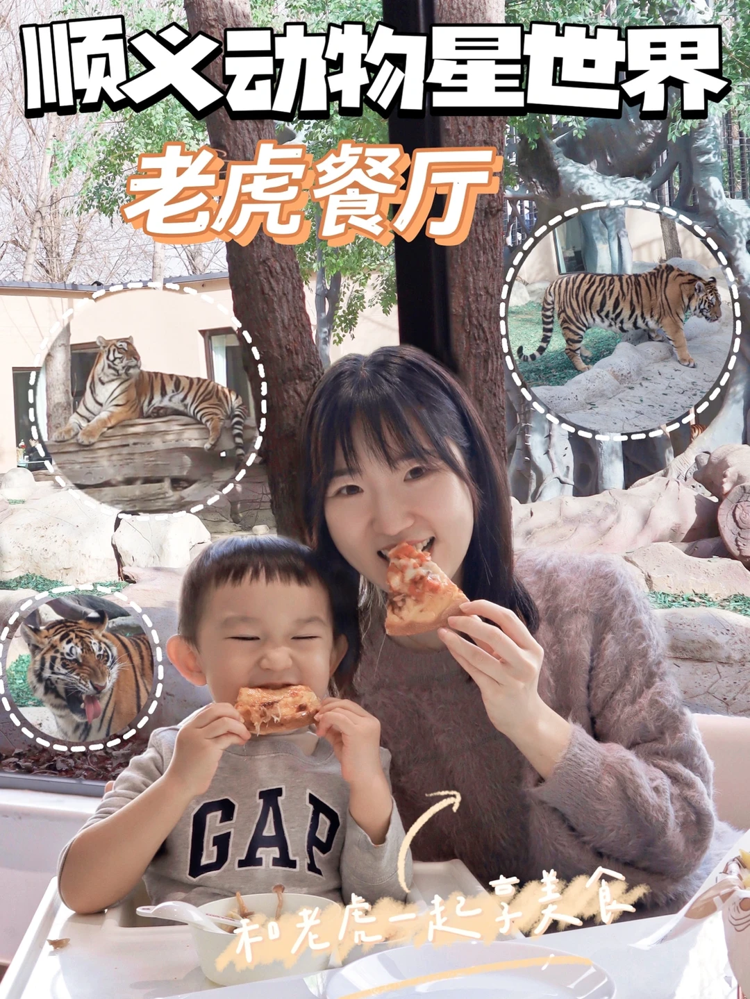 北京遛娃|老虎陪吃❓这家动物园也太绝了叭🐯