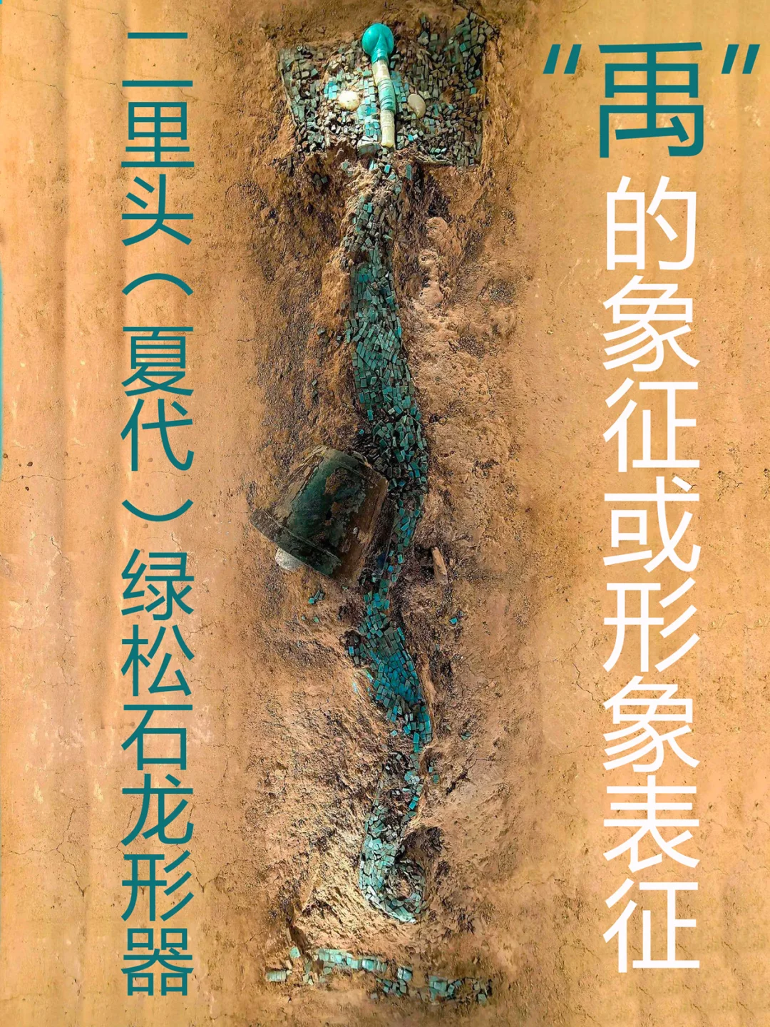 二里头龙形器是“禹”的象征或形象表征二。