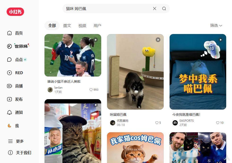 🚨喵主子看完姆巴佩的脸，反应比我还大！！  今天给主子看姆总那张脸肿...