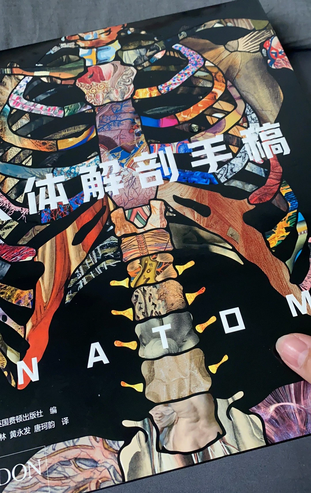 我可能有大病，谁家好人看这个啊