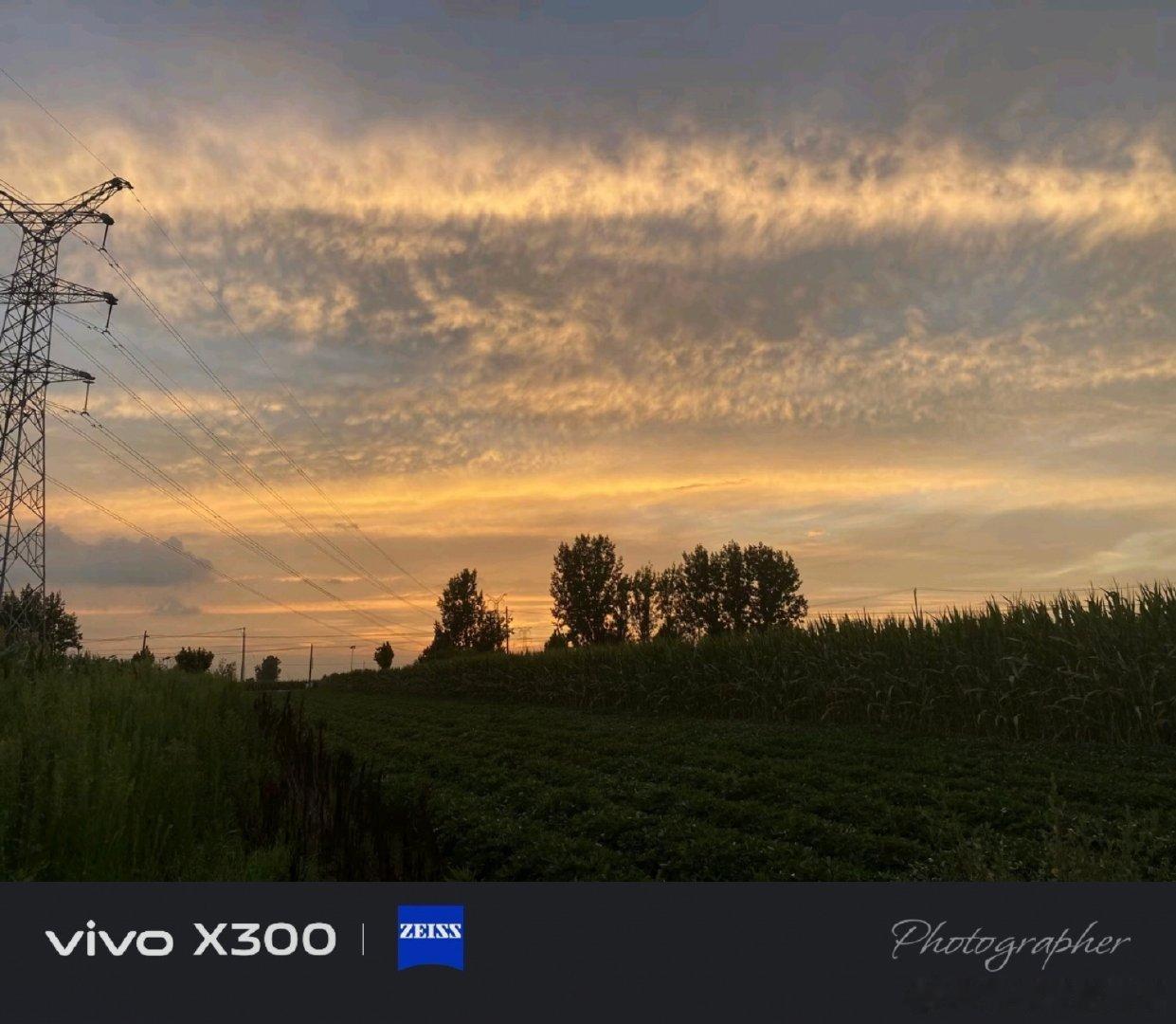 #vivo[超话]##vivo超话# 傍晚的田野真的好治愈，天边铺满金灿灿的云彩，大自然的美景总能让人静下心来。 ​