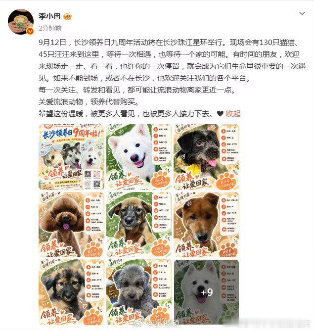 #李小冉呼吁领养代替购买#哇，一如既往人美心善，多多关注流浪动物[抱一抱] ​