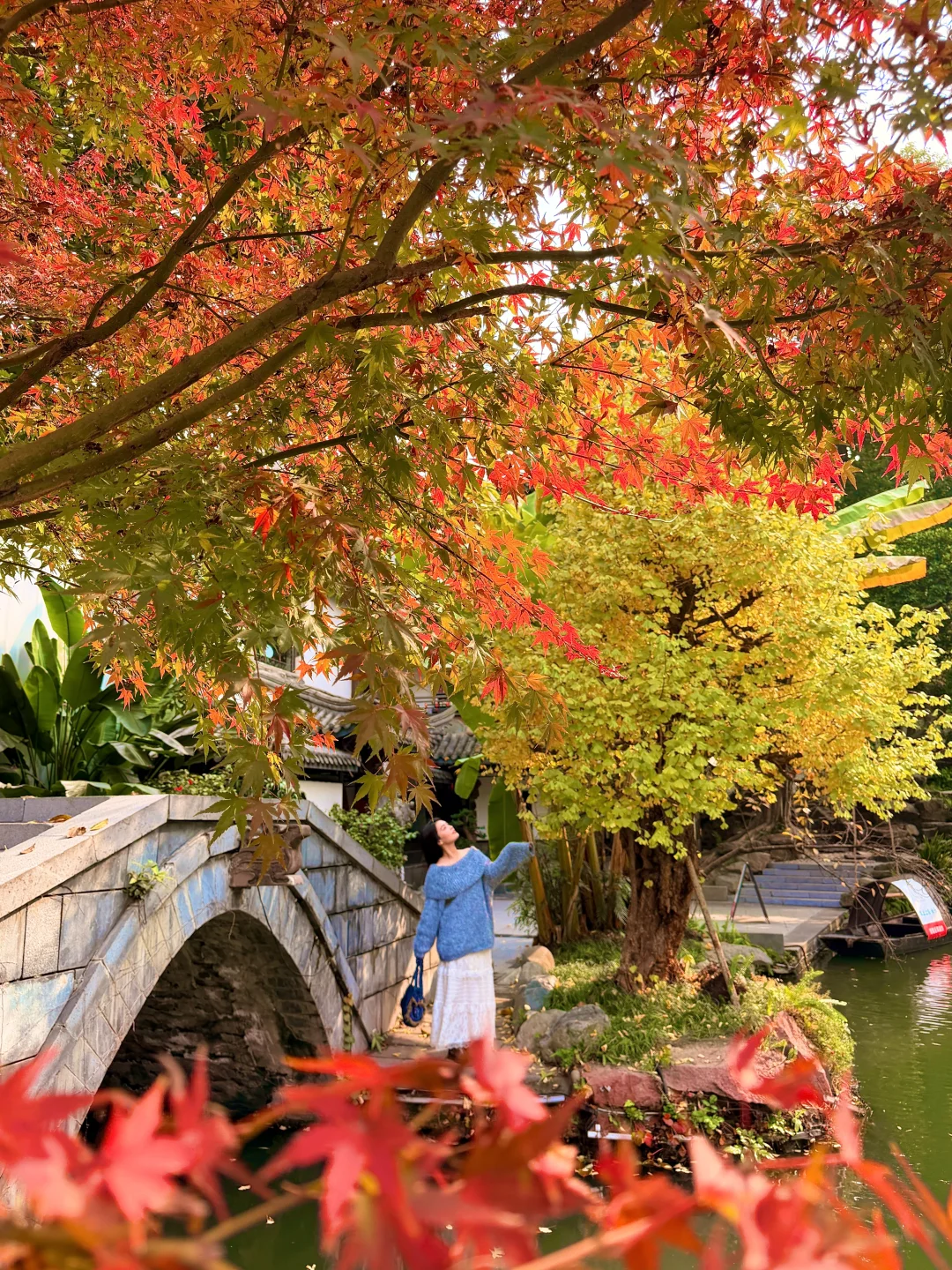 11.24实拍！成都地铁直达免费红枫林🍁！！