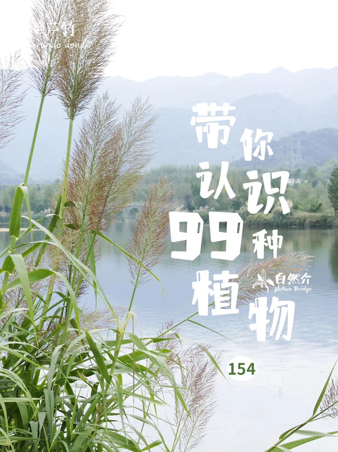 带你认识99种植物