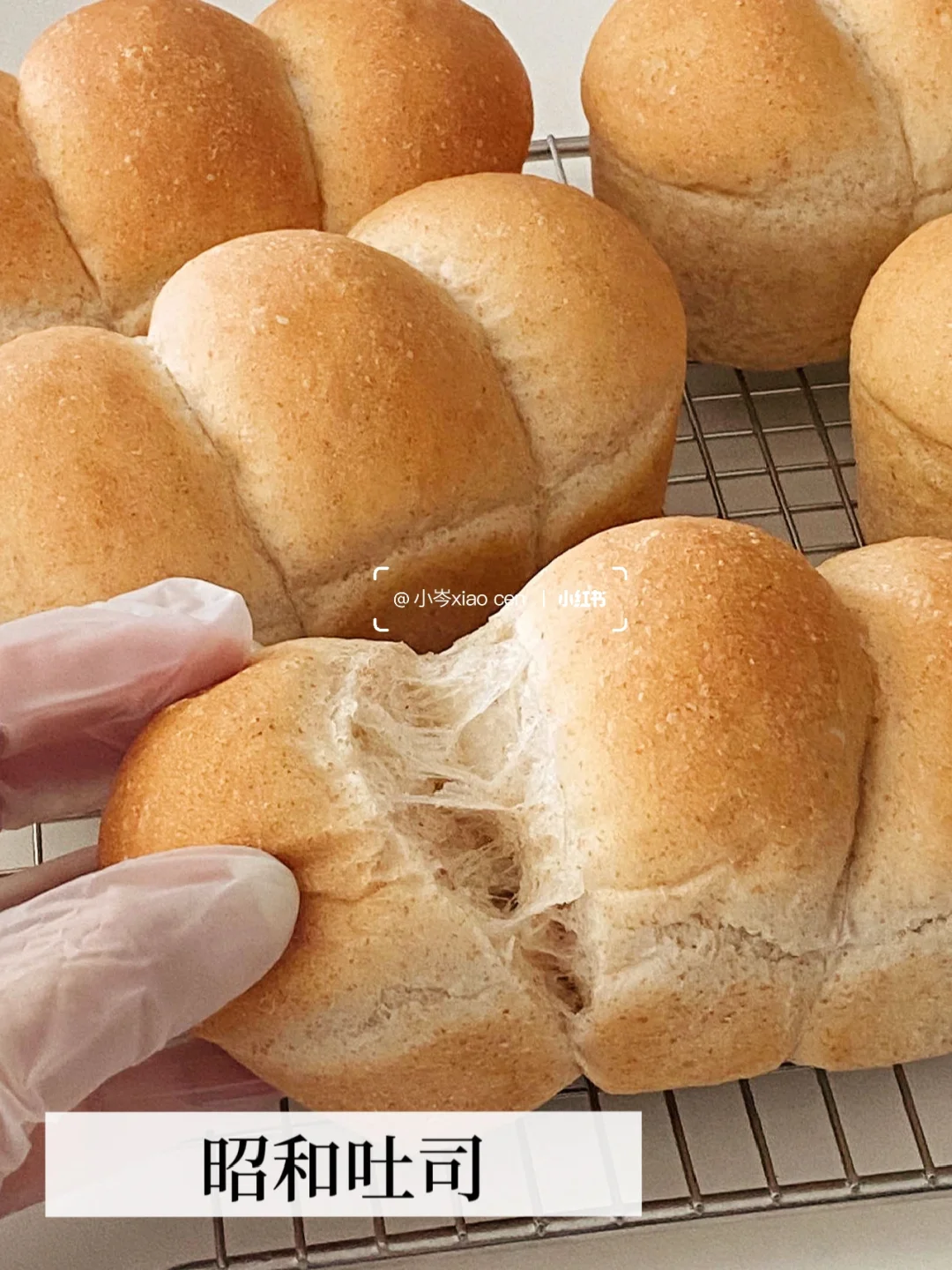昭和吐司｜无蛋奶全麦吐司配方