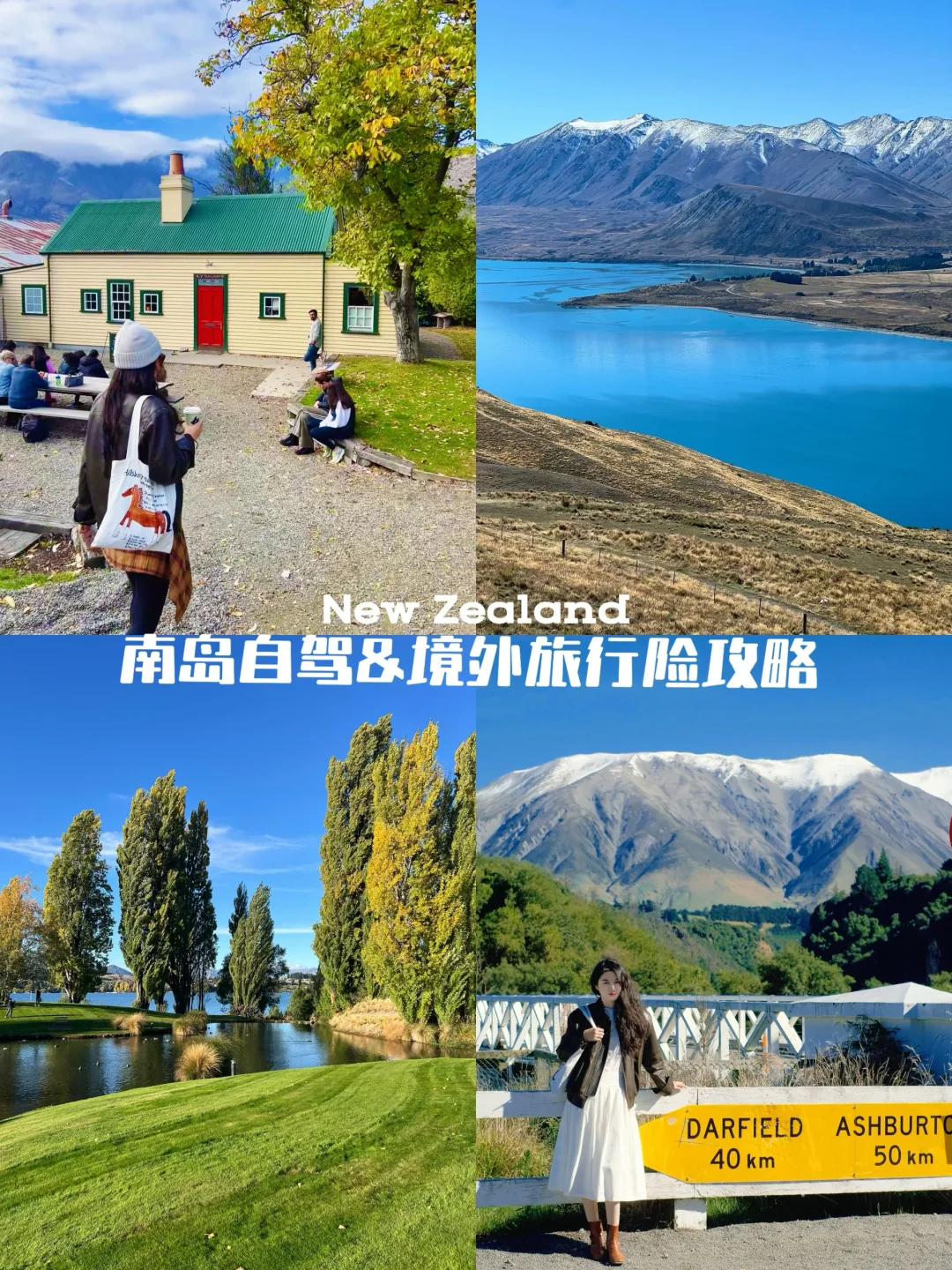 新西兰花的最值的一笔钱 😭