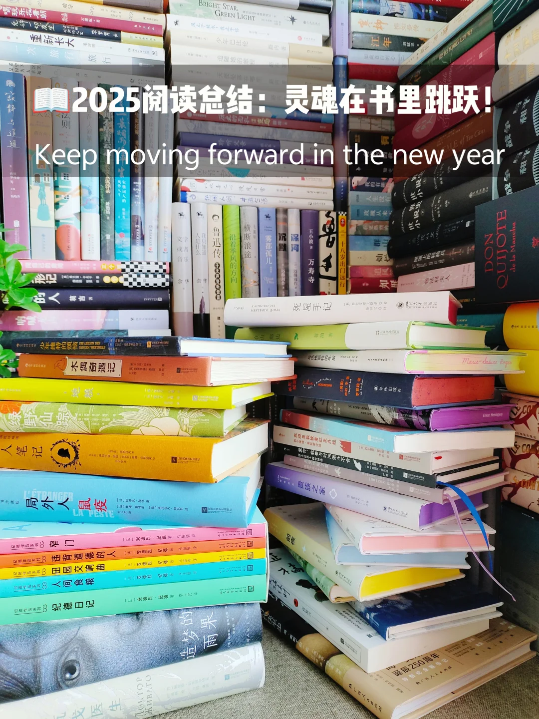 佛系读书博主盘点：今年75本，自在如风🍃