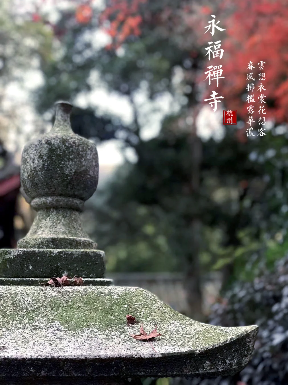 杭州旅行｜最美寺院——永福禅寺
