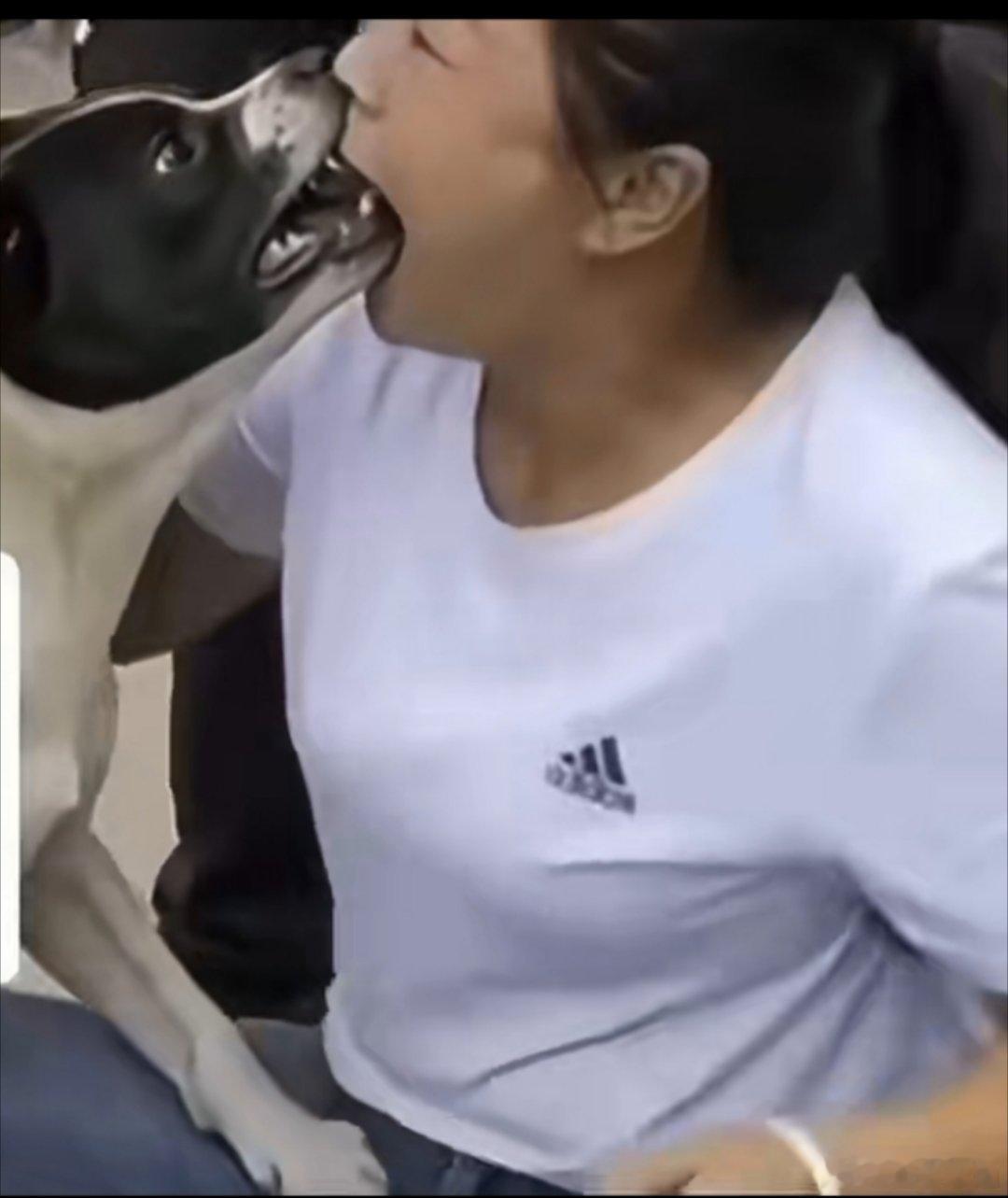 最常挂在嘴边的话，就是：我家狗狗不咬人。