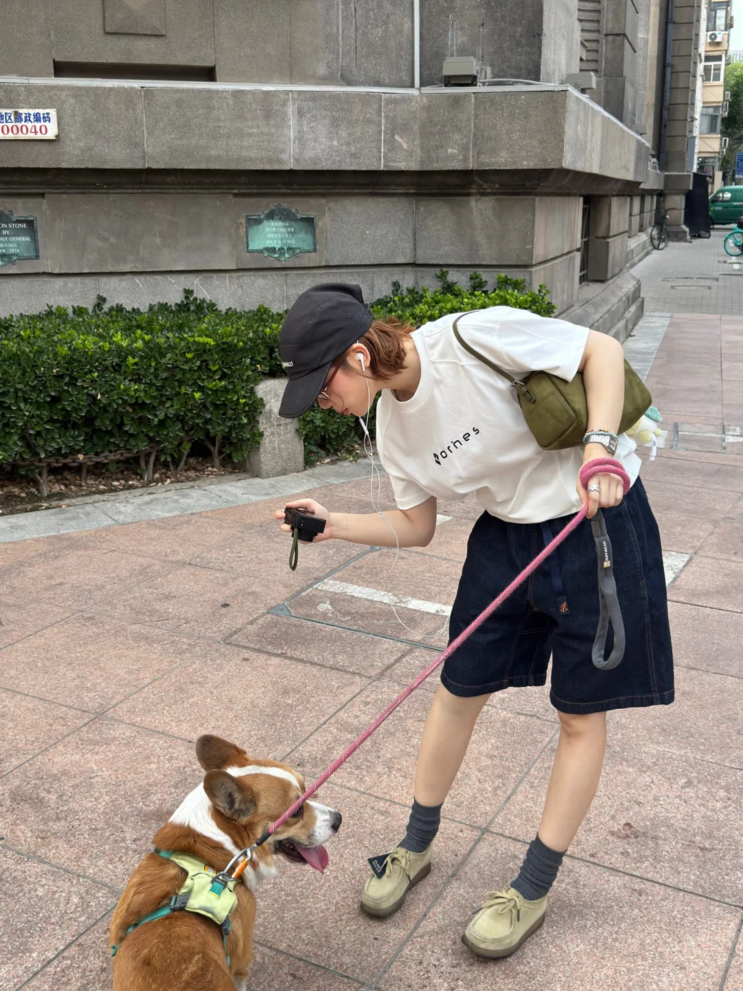 特别不听话🐶