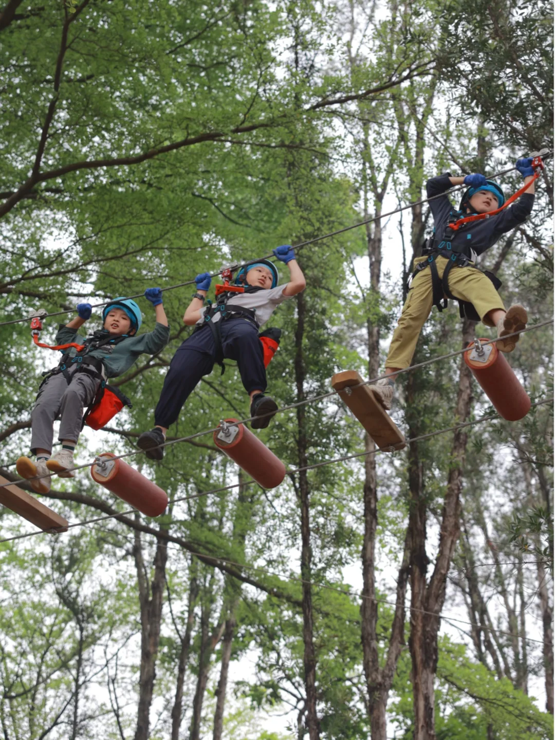 广州遛娃天花板｜龙头山森吧飞越全攻略