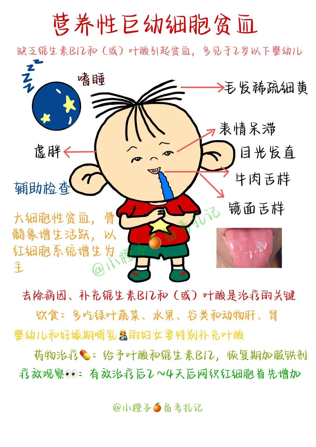 📖护师笔记｜内科护理学｜营养性巨幼细胞贫血