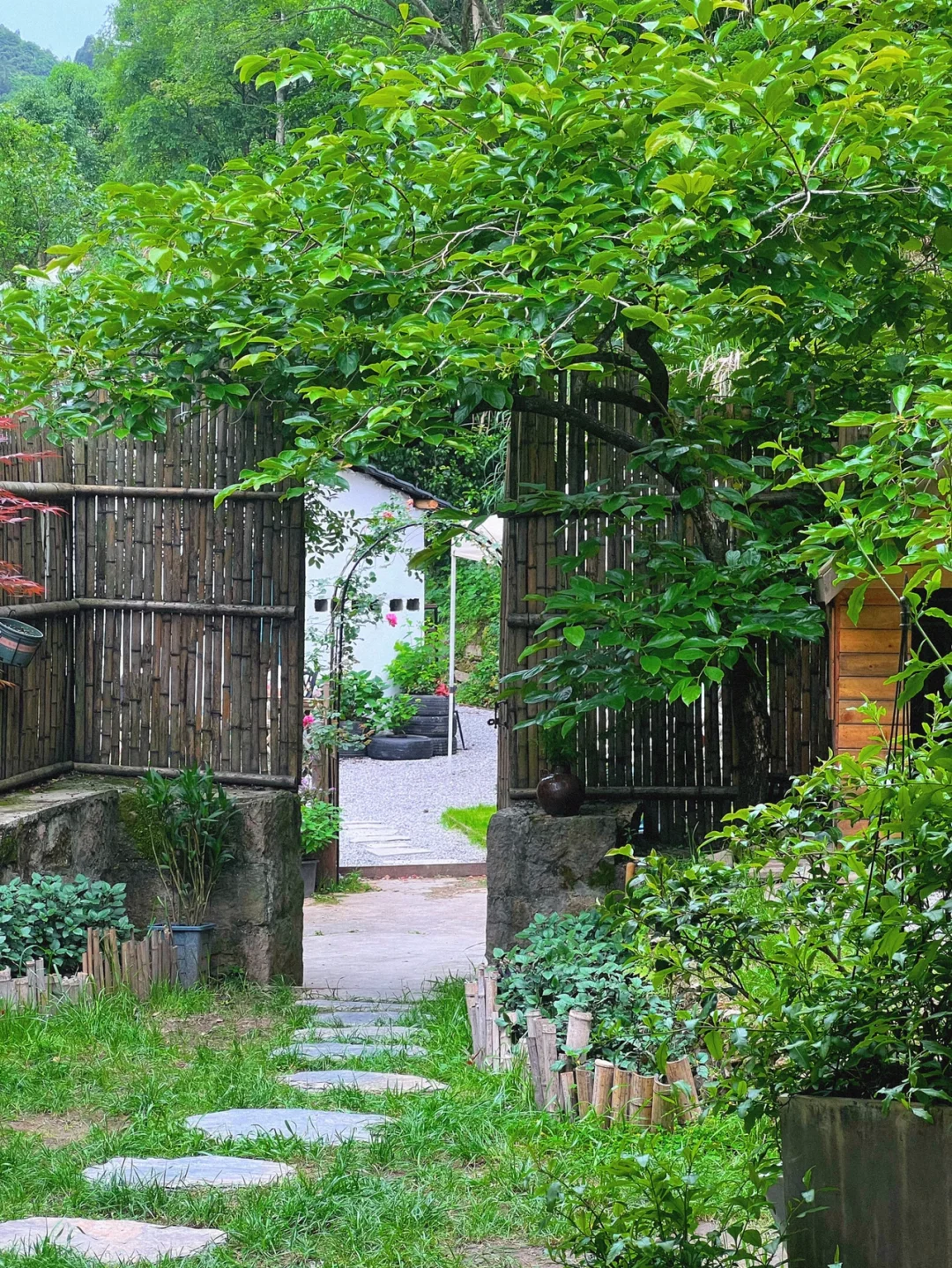 乐清｜寂色山谷咖啡看板娘的生活我的梦