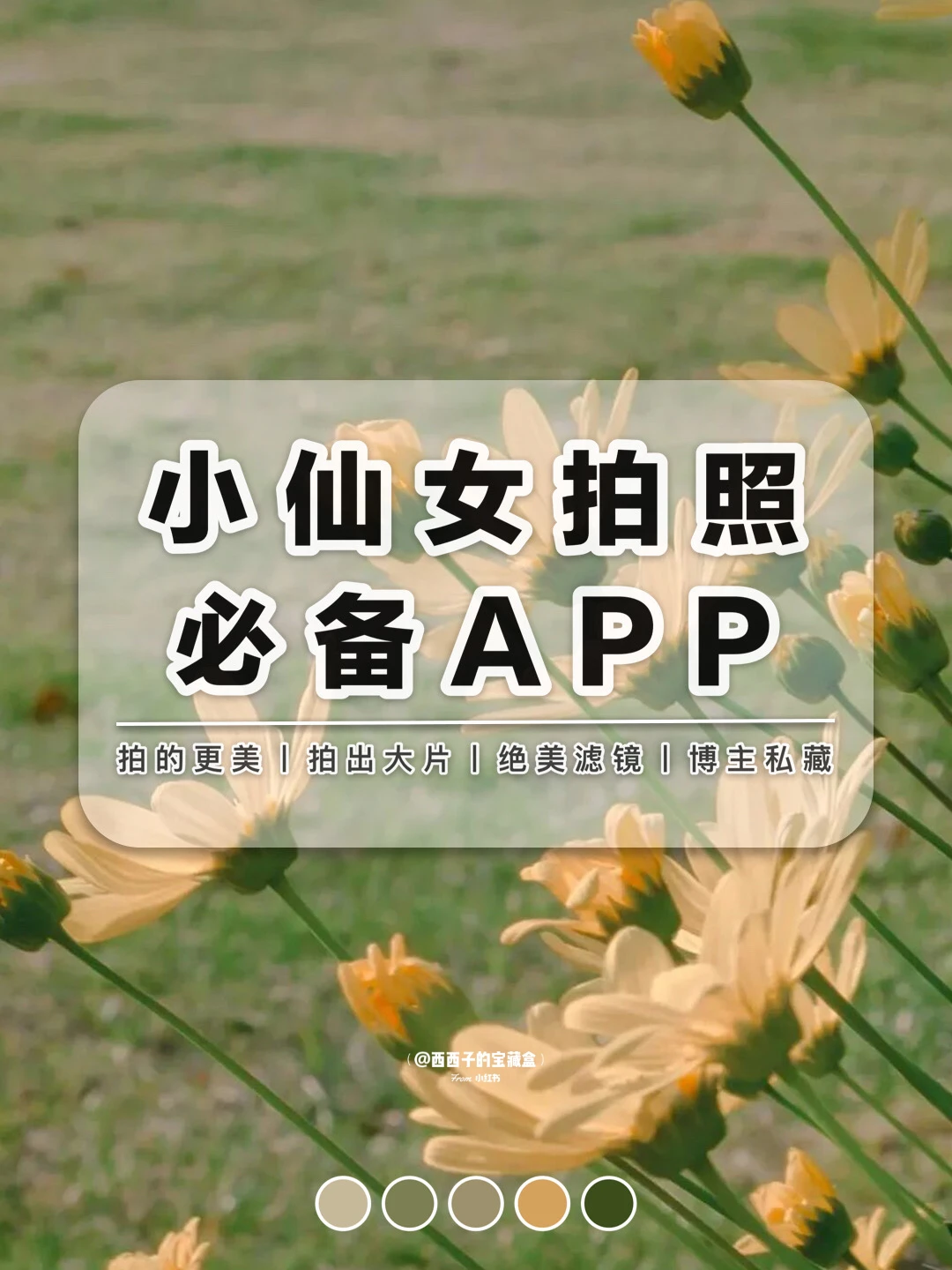 🧚🏻‍♀️小仙女必备相机APP丨📷即拍即出大片