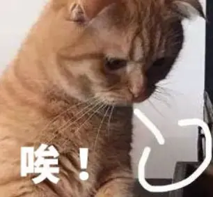 “中国足球小将”编导吕凡意外去世唉