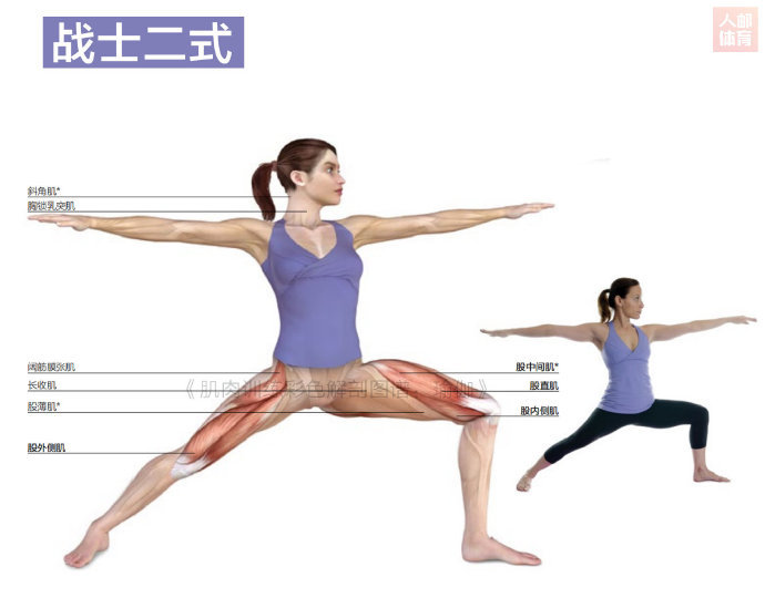 【6个动作，优化腿部线条，塑造修长美腿】  这些动作能作用于腿部肌肉和...
