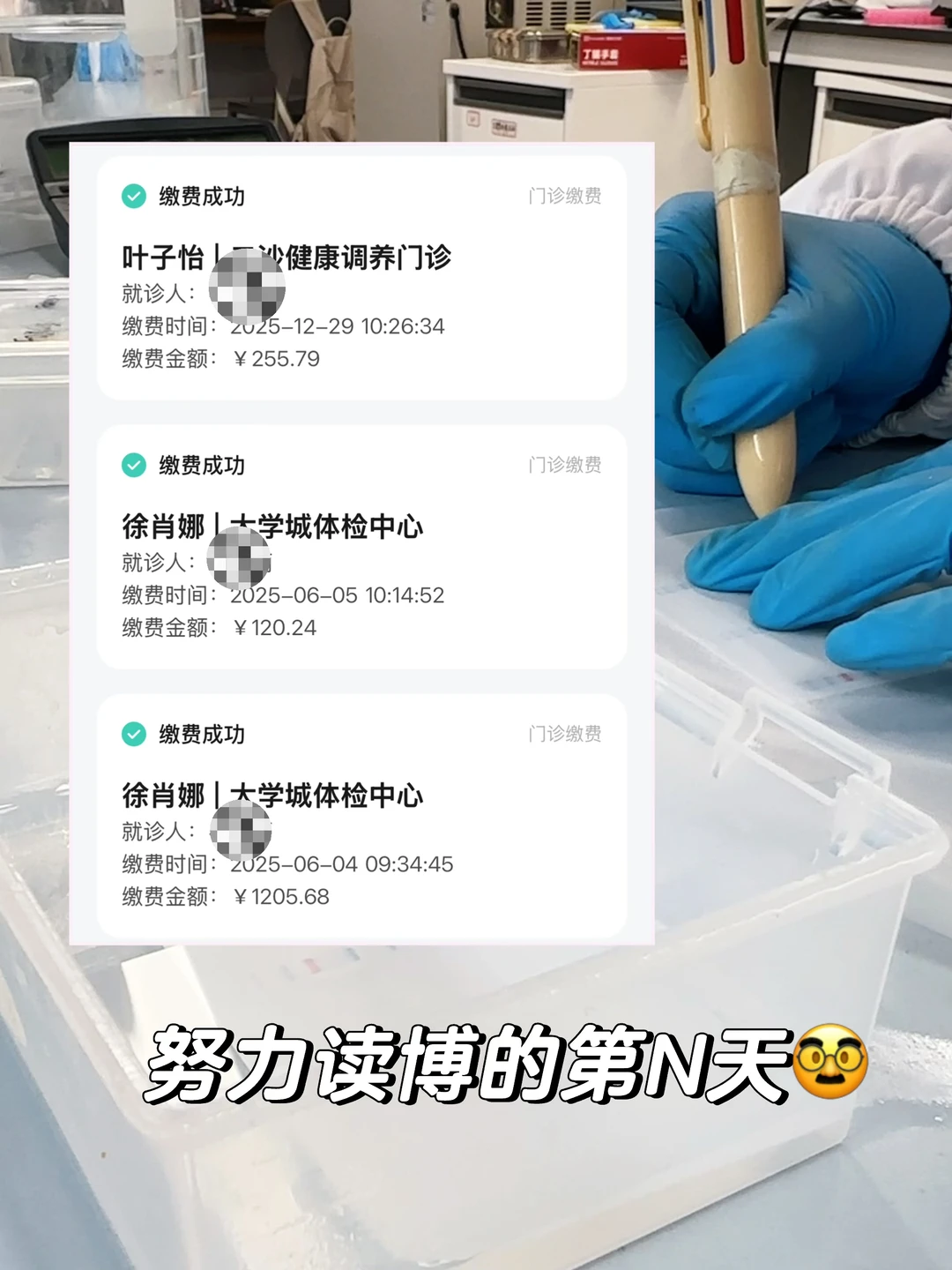 身体不好别读博…最近在狂补阿胶🫠