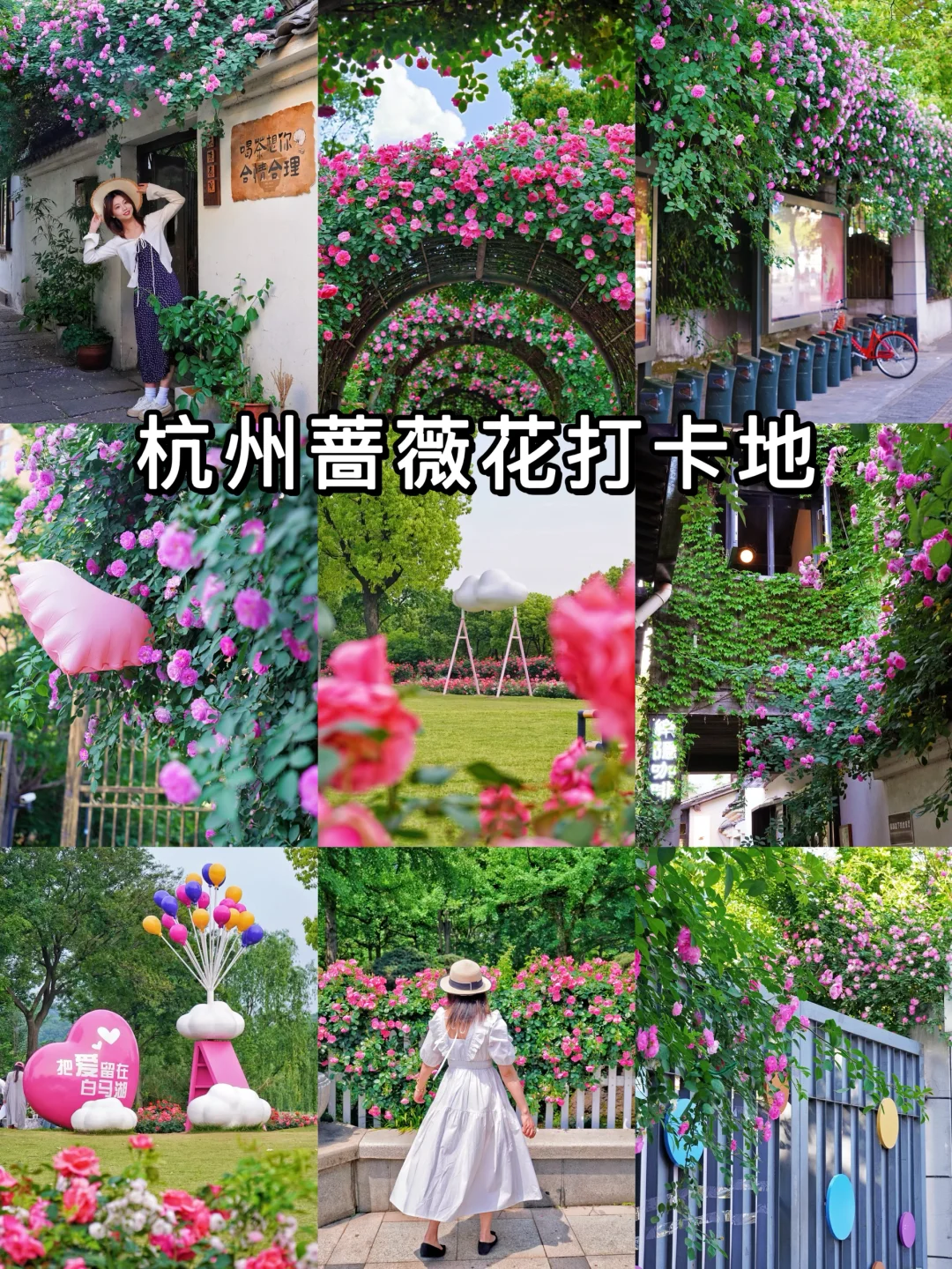 杭州蔷薇花开爆了❗️❗️附4️⃣个出片打卡地！
