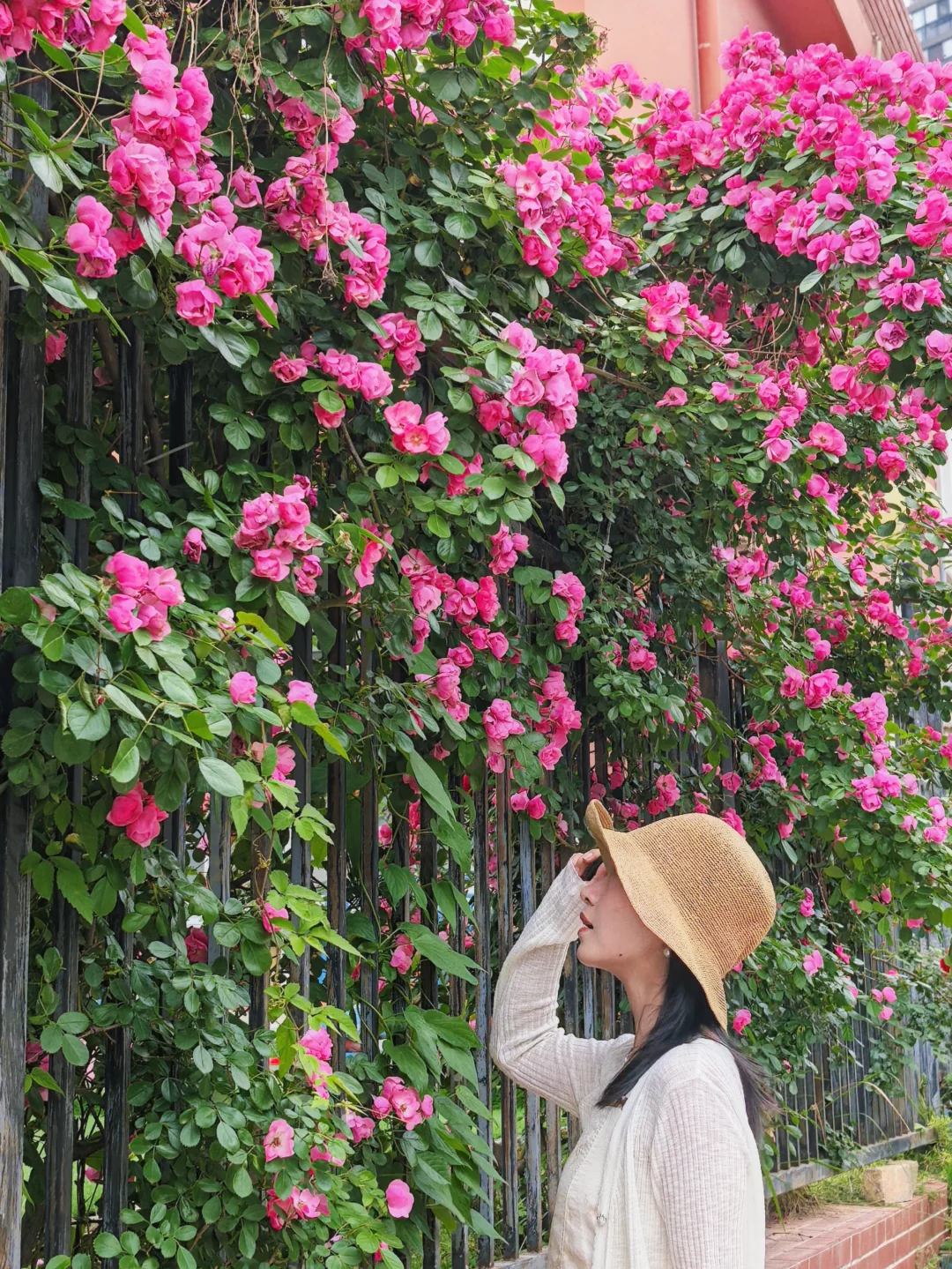 春天，就应该跟花花合照呀