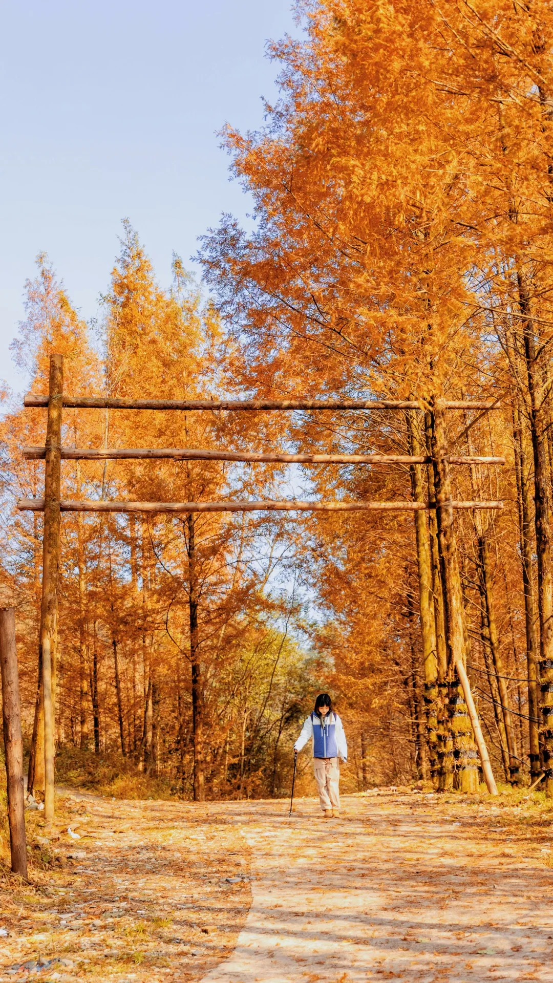 成都周边❗终于知道我们为什么爱徒步了