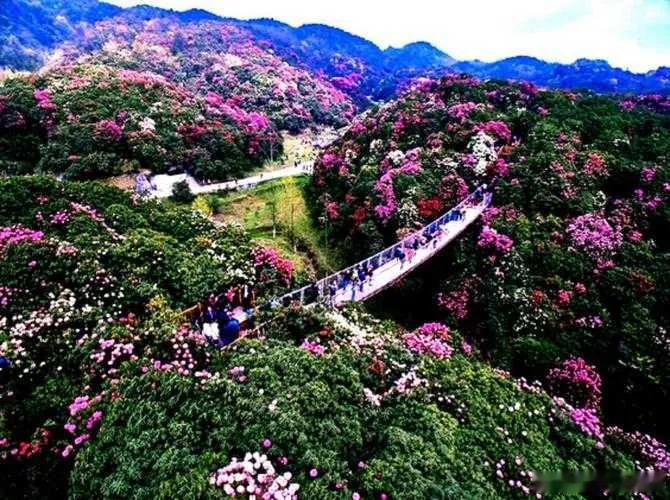 五十元的纸币保养得再好，还是五十元。一百元的纸币破破烂烂还是一百元。把五十元纸币装进豪华的钱包里它还是五十元啊！我们要做的是提升自己。你在轮回里活得再好，仍然是五十元纸币，价值没有变。跳出轮回，就提升到了更高价值，哪怕自己只是往生到了极乐世界的边城，你不再轮回。每个学佛人，有真心来学佛，就已经是一百元纸币了。哪怕这个修行人孤单贫穷，生命价值却是高于普通人一个层级。五十元、一百元，代表的是本性的真实价值，不是外在包装。纸币再新、钱包再华贵，改变不了它本身的面额；钞票再破旧，面额也不会减损半分。世间人穷尽一生，拼命打扮这个色身，追逐财富、名声、安逸、别人的赞叹。就如同给五十块钱换最精致高档的钱包。生活过得再风光热闹，依旧还是轮回里面的五十元，业力的本质没有提升，出离的价值没有增长。荣华富贵只是外面的包装，轮回的底色没有变，福报享尽依旧还要继续流转受苦。哪怕这一生过得坎坷贫苦，如同那张皱巴巴破损的百元钞，外在境遇不堪，但如果发心念佛求生净土，一心求解脱，一旦往生极乐，就跳出了轮回这套体系...