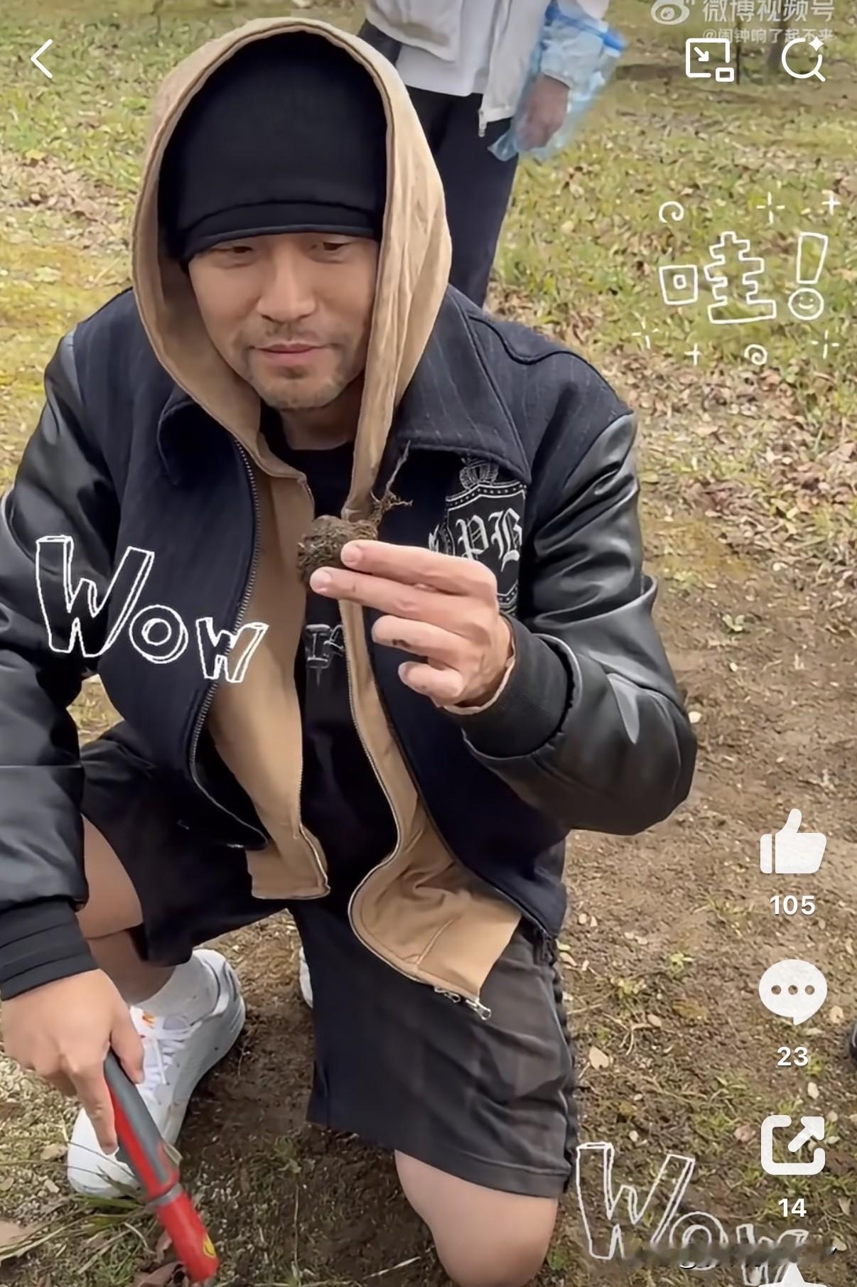 昆凌晒出一段一家五口到农场挖黑松露的日常vlog，画面烟火气十足。一家人开开心心体验田园乐趣，气氛轻松又热闹。

最有意思的一幕，当属小女儿拿着小铲子，调皮地往周杰伦身上扬土，这个可爱瞬间一下子火了，成了大家热议的名场面。

平日里在舞台上光芒四射的周杰伦，在孩子面前就是一位普通老爸。不端明星架子，