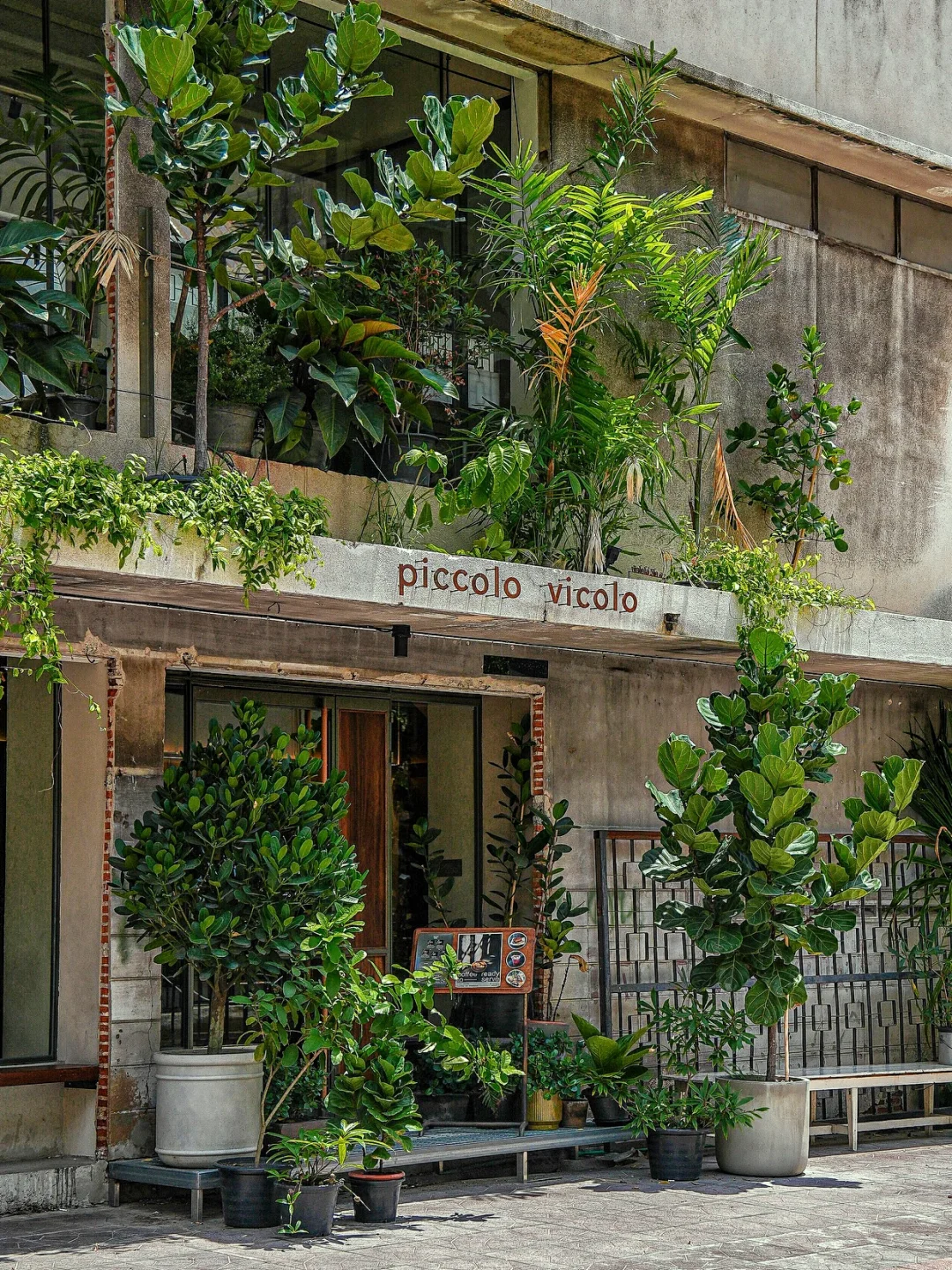 曼谷唐人街⭐️新晋森林咖啡馆里的绝美Airbnb