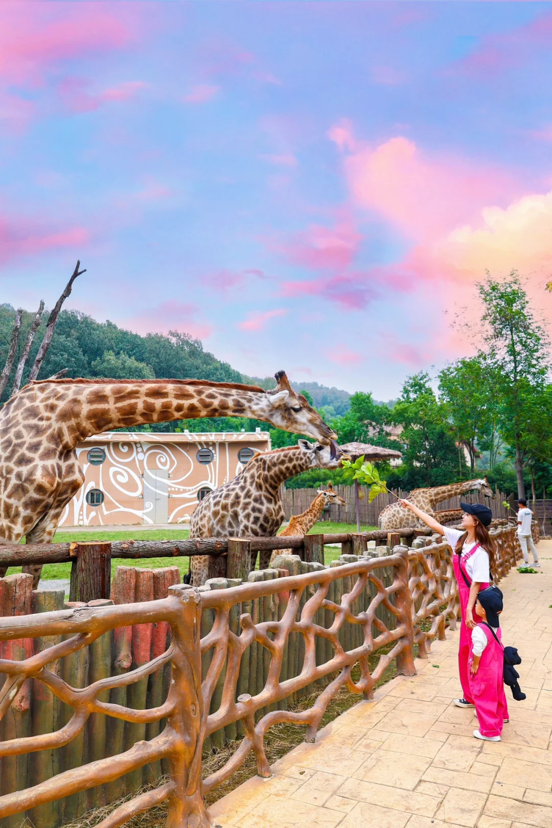 就在武汉‼️带娃去一百次都不会腻的动物王国