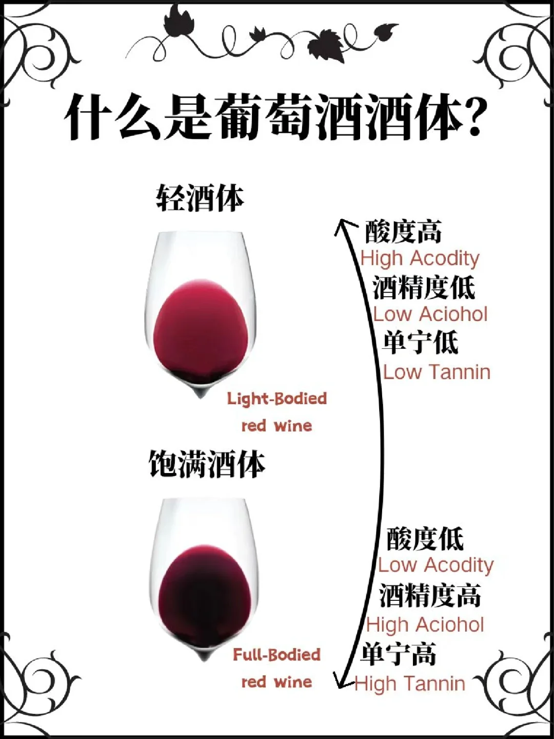 那个词让别人知道你懂酒📚 | 葡萄酒酒体