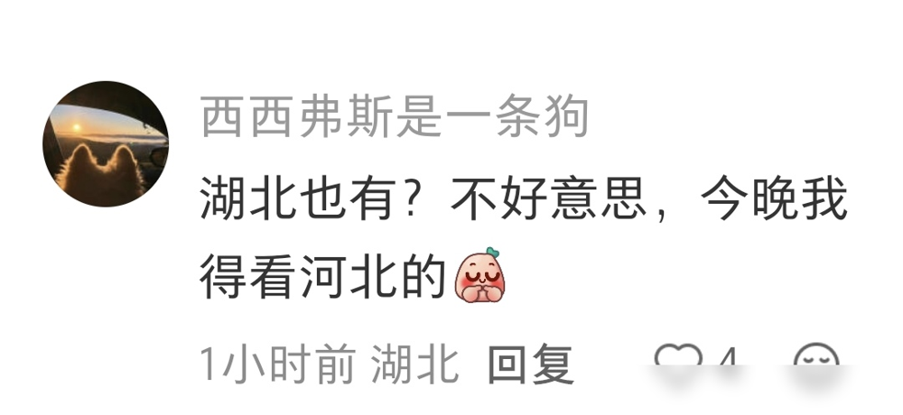 莎莎跑错片场了？不，是网友跑错了。
10月16日河北省运会开幕式，孙颖莎第六棒接火炬，从巩立姣手里拿过圣火，跑得那叫一个稳。接着宣誓，再跟全场合唱《阳光总在风雨后》。河北卫视直播收视率直接干到全国卫视第一，一度压过央视新闻频道。
结果一堆人兴冲冲点进去，发现画风不对。怎么全是湖北的？运动员不认识