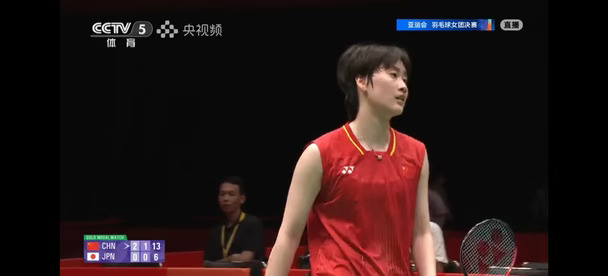中国羽毛球女队冠军