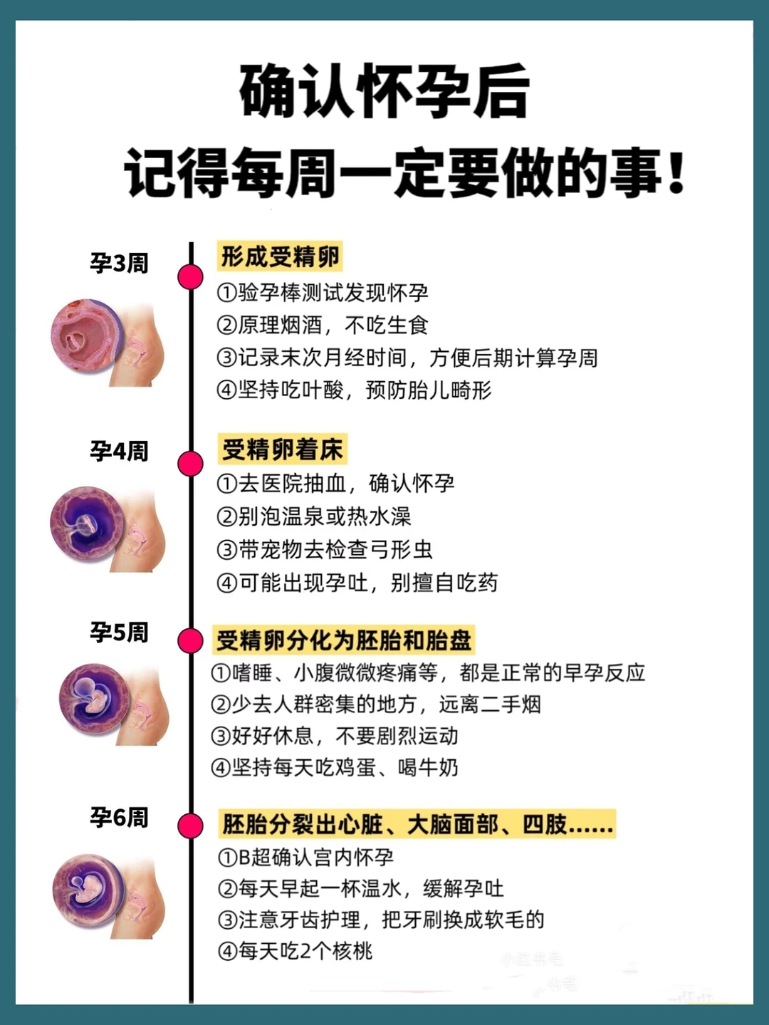 确认怀孕后，每周要做的事！🤰孕妈必知