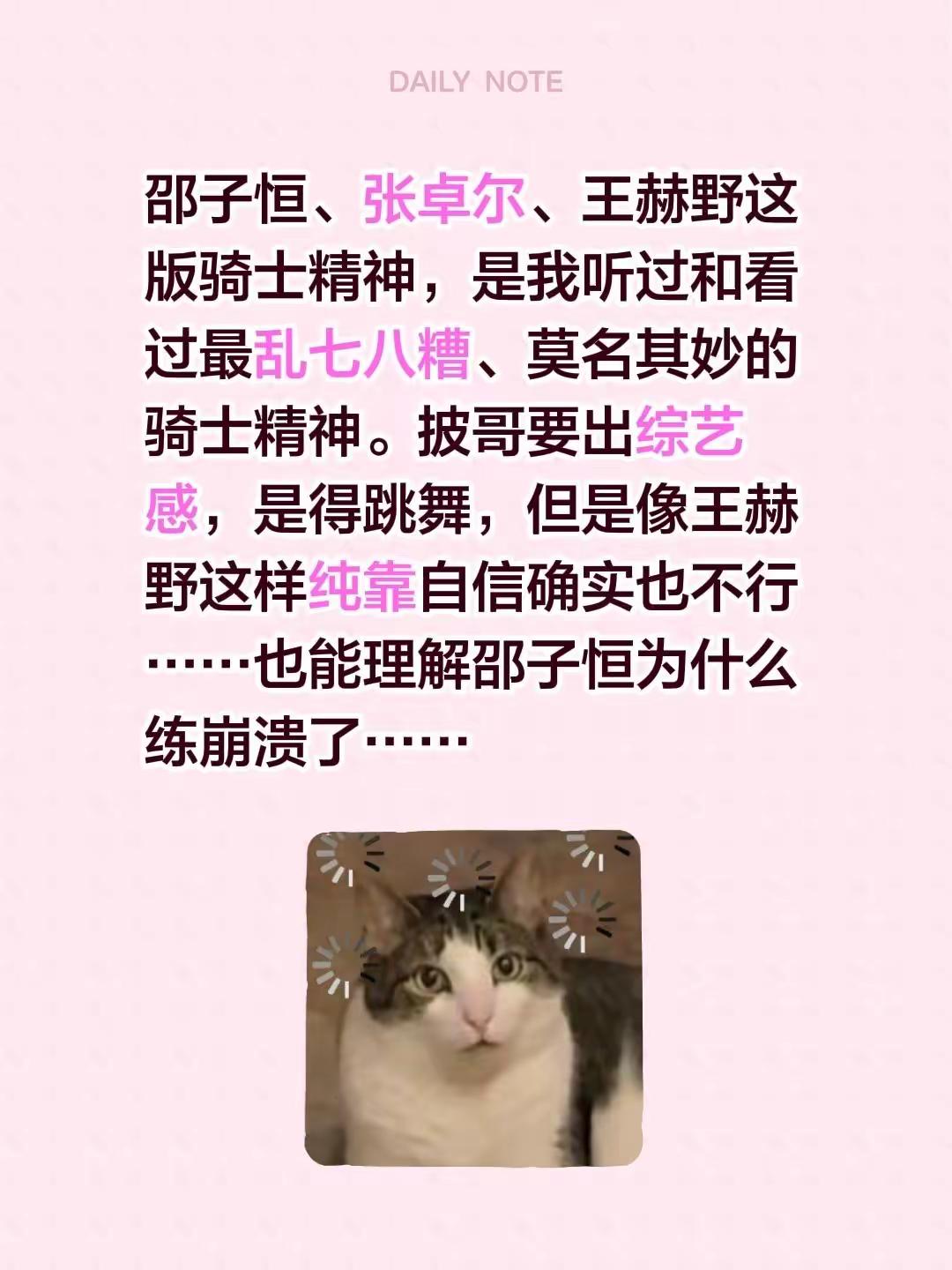三个人没有一个动作是齐的，给我笑崩溃了。邵子恒、张卓尔、王赫野这版骑士精神，是我听过和看过最乱七八糟、莫名其妙的骑士精神。披哥要出综艺感，是得跳舞，但是像王赫野这样纯靠自信确实也不行……也能理解邵子恒为什么练崩溃了……王赫野 披荆斩棘的哥哥 邵子恒 张卓尔