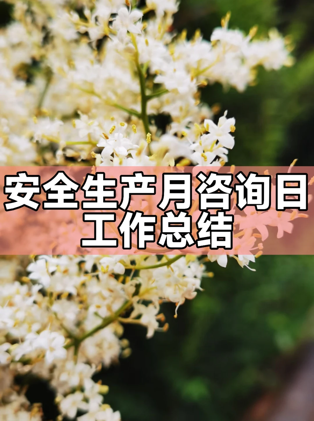 体制内：安全生产月咨询日工作总结通用模板