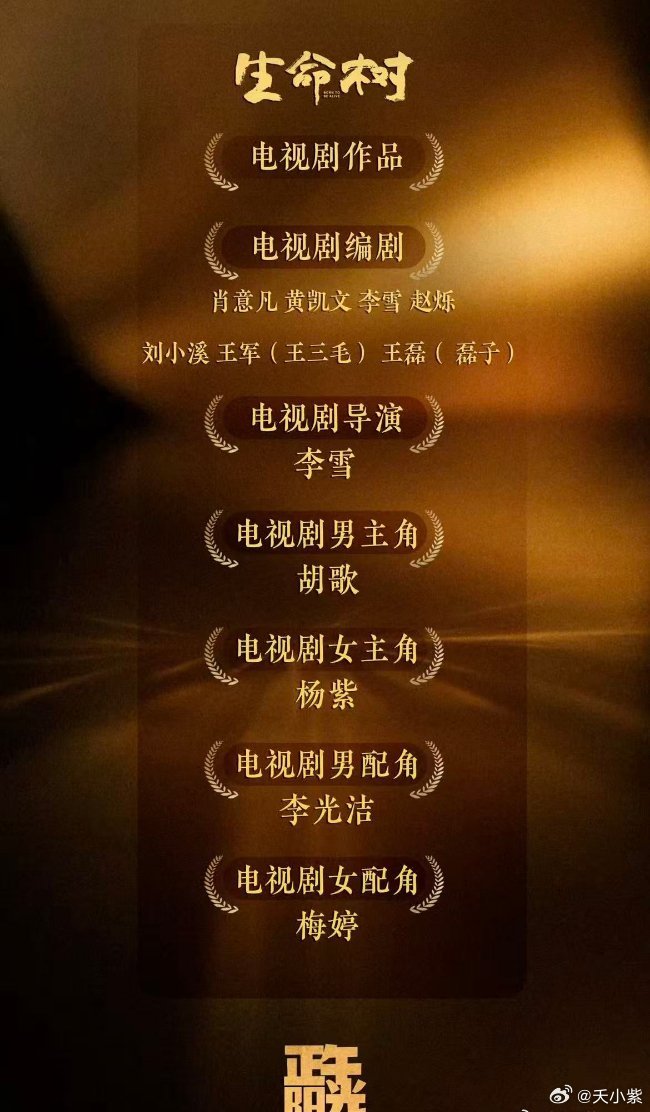 #杨紫[超话]# 恭喜杨紫入围金鹰奖提名 支持杨紫横扫金鹰奖努力永远会被看到的​