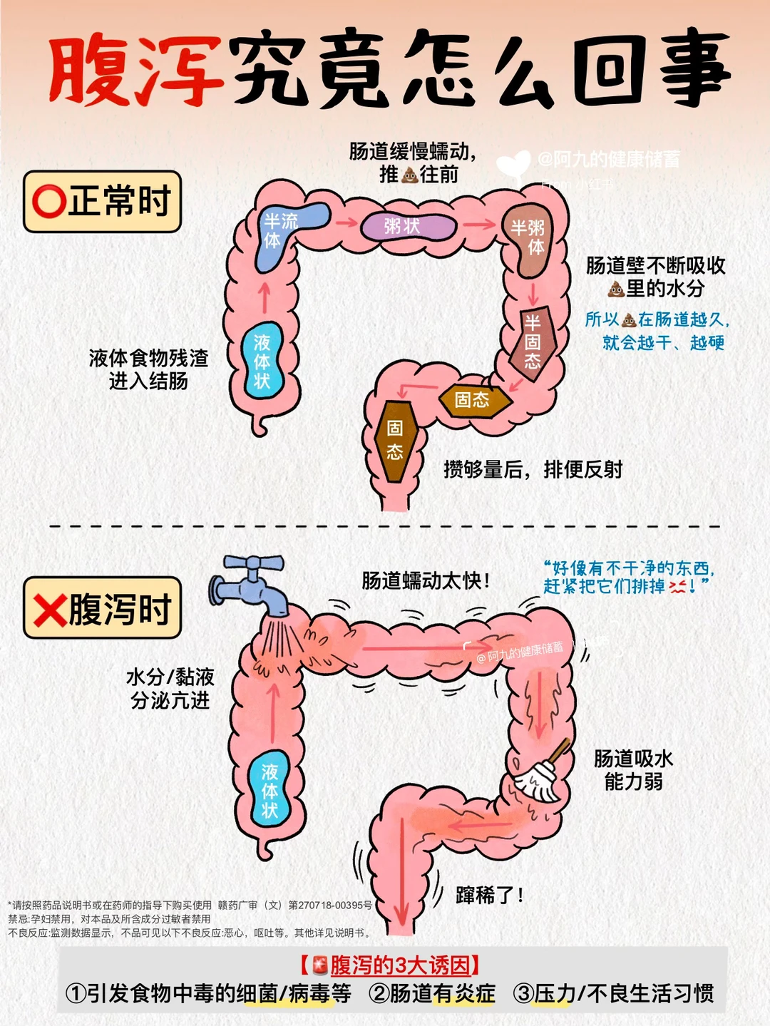 腹泻来袭别慌！找准原因+科学应对！