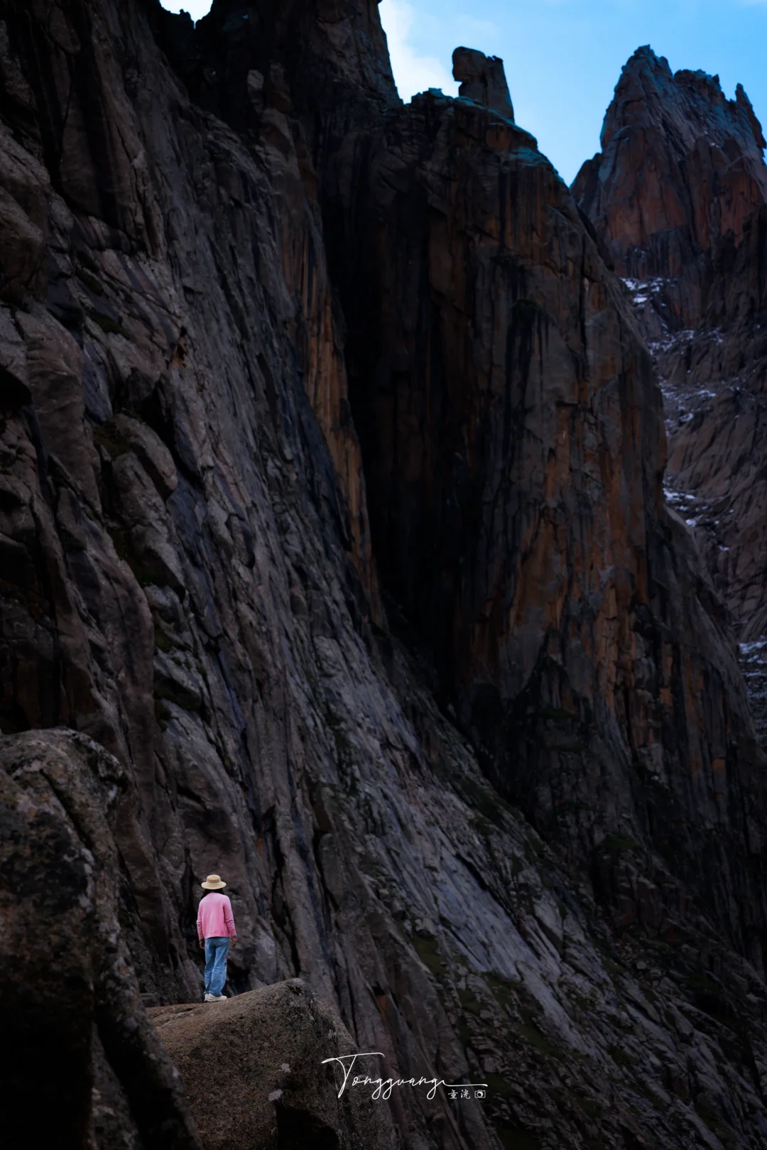 莲宝叶则高效玩法，省时省力不踩坑🌈❤️