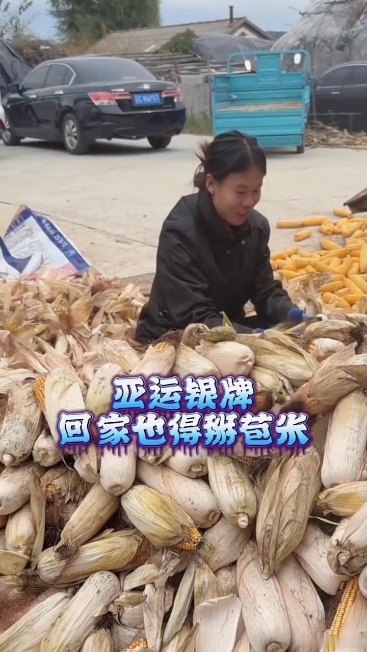 #亚运会夺奖牌回家也躲不过掰苞米#
领奖台上是为国争荣的田径选手，回到家乡，仍是帮父母干活的孩子。

李春辉在名古屋亚运会女子1500米决赛，4分05秒50斩获银牌，时隔28年中国选手再次登上该项目亚运领奖台。

赛场拼尽全力，褪去光环回归田间，质朴的底色最动人。短暂休整后即将归队，向着世锦赛继续 ​