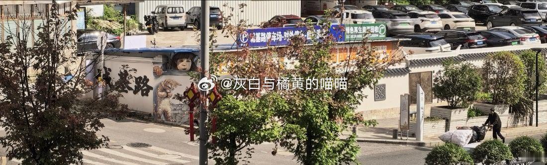 住院总的那些日子 ​​​