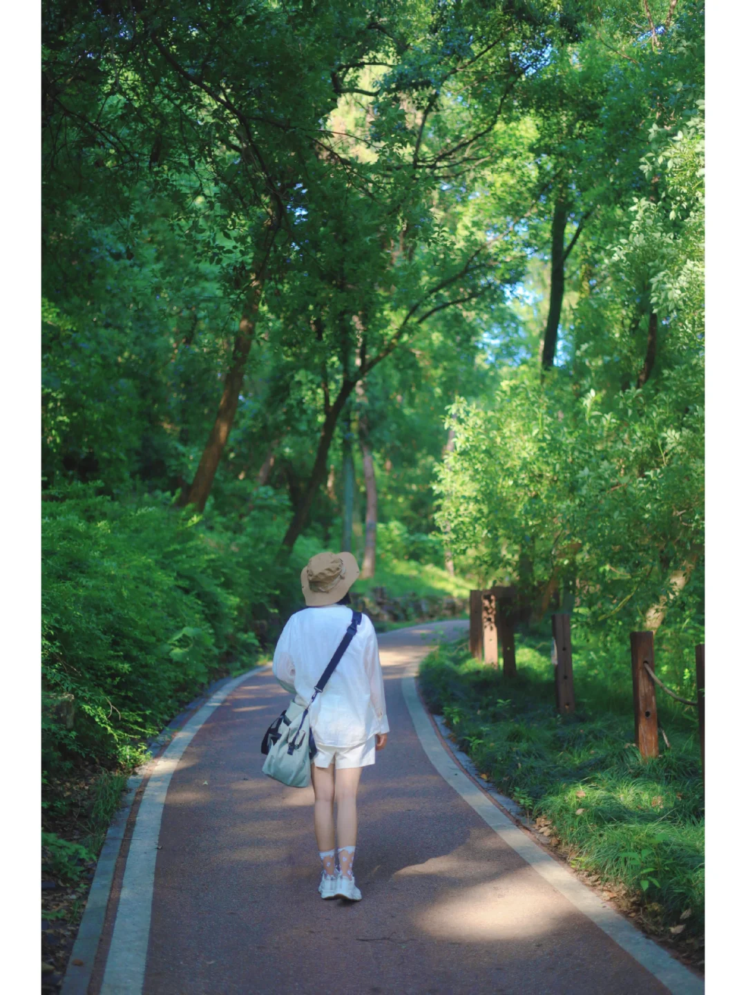 武汉小众徒步路线❗️15分钟穿越小森林看海