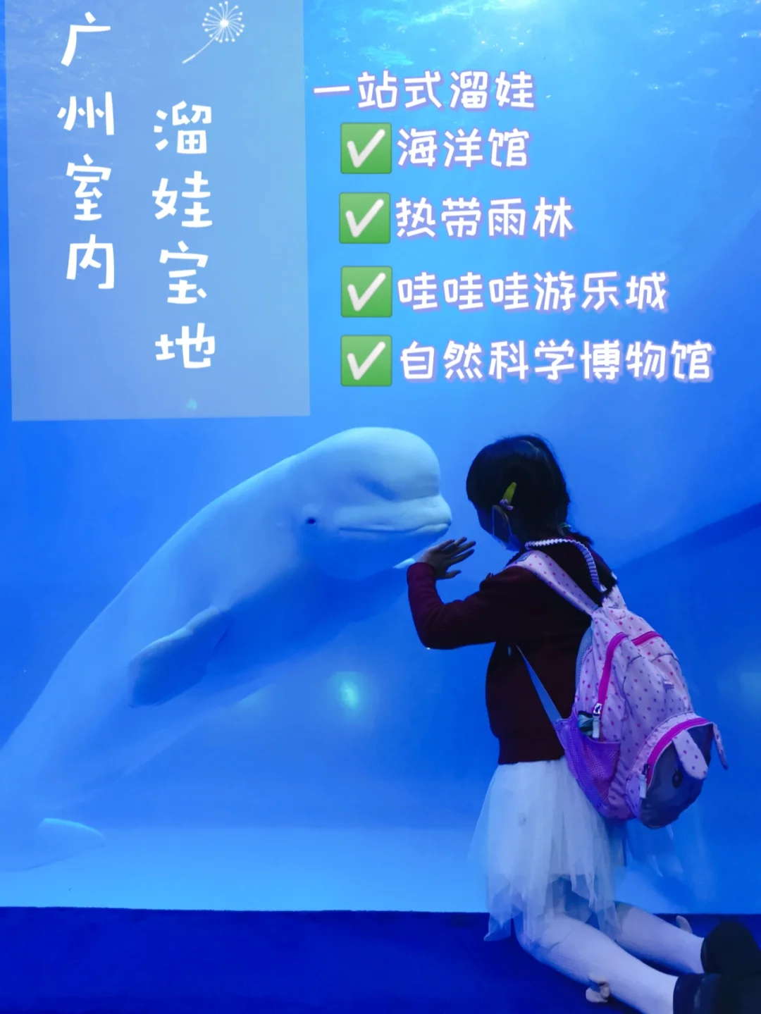 藏在市中心的海洋世界和空中雨林|地铁直达