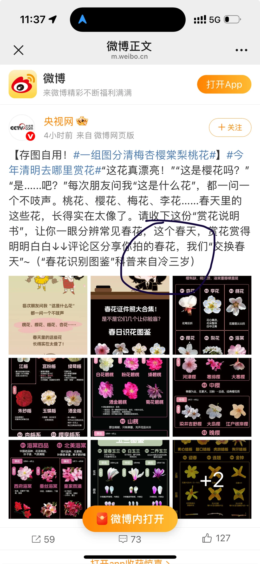 北京赏花，小试牛刀