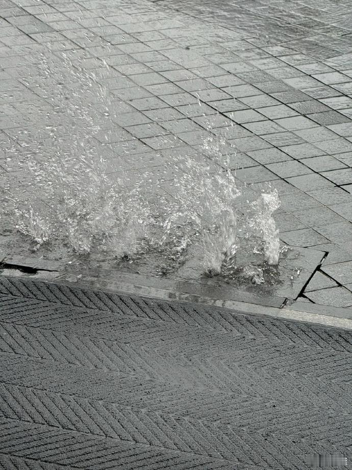 暴雨天排水口都喝到吐了[二哈] ​​​
