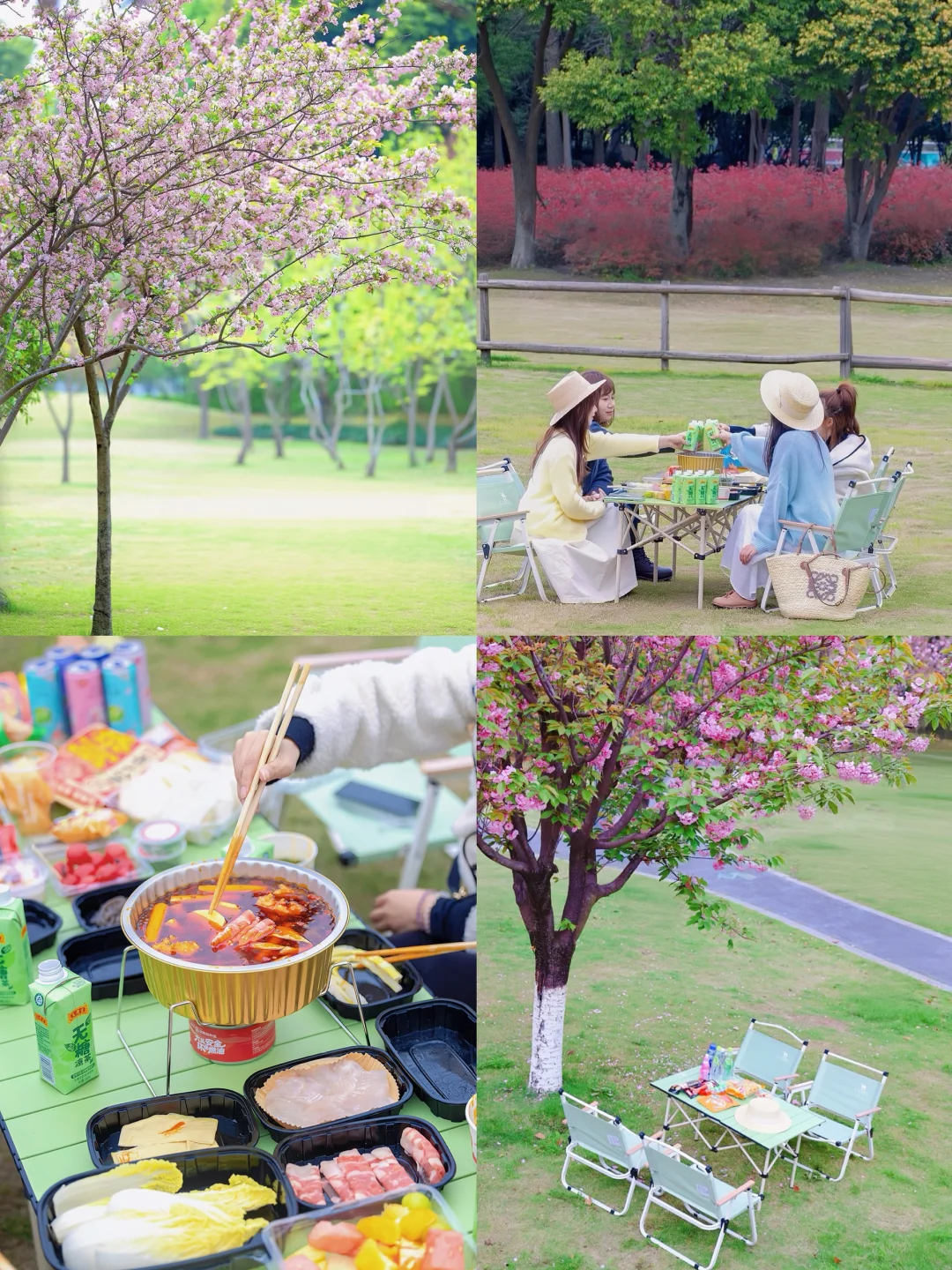 一到春天草地上就长满了爱露营的成都人...
