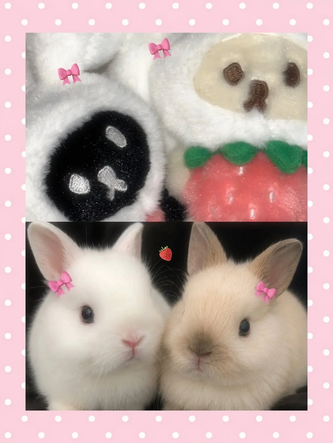 成为兔子的方法🐰🎀🍓