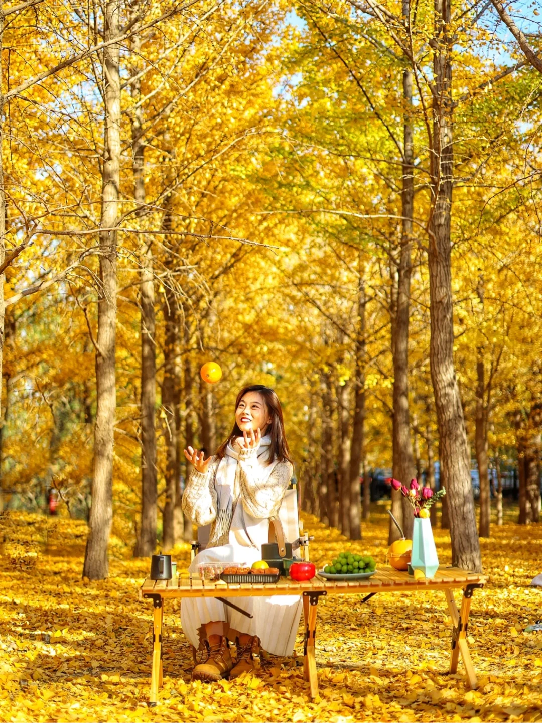 晚秋银杏‼️抓住露营得小尾巴‼️🍂人少速来